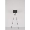 Globo BARZI Floor Lamp black, 1-light source
