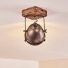 GLOSTRUP Ceiling Light brown, stainless steel, 1-light source