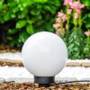 Miau globe light white, 1-light source