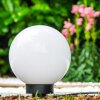 Miau globe light white, 1-light source