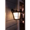 Philips HUE AMBIANCE WHITE & COLOR ECONIC Wall Light LED black, 1-light source, Colour changer