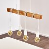 Barbengo Pendant Light black, 4-light sources