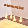 Barbengo Pendant Light black, 4-light sources