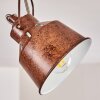 Safari Ceiling Light rust-coloured, 3-light sources