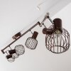 Cancun ceiling spotlight brown, 6-light sources