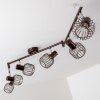 Cancun ceiling spotlight brown, 6-light sources