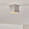 Ceiling Light Curacao silver, 1-light source