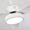 DOHA ceiling fan LED white, 1-light source, Remote control