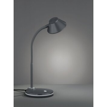 Reality BERRY Table Lamp LED titanium, 1-light source