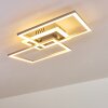 Lithgow Ceiling Light LED silver, 1-light source
