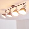 DOMPIERRE Ceiling light grey, white, 4-light sources