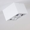 Baishan Ceiling Light white, 4-light sources