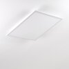 Salmi Ceiling Light LED aluminium, white, 1-light source, Remote control
