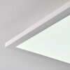 Salmi Ceiling Light LED aluminium, white, 1-light source, Remote control