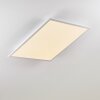 Salmi Ceiling Light LED aluminium, white, 1-light source, Remote control