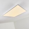 Salmi Ceiling Light LED aluminium, white, 1-light source, Remote control