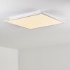 Salmi Ceiling Light LED aluminium, white, 1-light source, Remote control