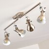 Danikon Ceiling Light matt nickel, 4-light sources