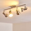 Danikon Ceiling Light matt nickel, 4-light sources