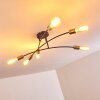 Duvin Ceiling Light black, 6-light sources