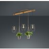 Trio PLANT Pendant Light LED dark brown, matt nickel, 3-light sources