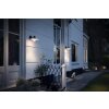 Philips SKUA Outdoor Wall Light black, 1-light source