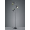 Trio EDWARD Floor Lamp black, 3-light sources