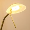Biot uplighter LED antique brass, 2-light sources