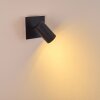 Wall Spotlight Zuoz black, 1-light source