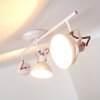 TINA ceiling light white, 3-light sources
