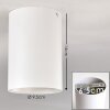 Ceiling Light Grenada white, 1-light source