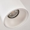 Ceiling Light Grenada white, 1-light source