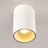 Ceiling Light Grenada white, 1-light source