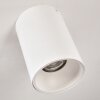 Ceiling Light Grenada white, 1-light source