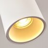 Ceiling Light Grenada white, 1-light source