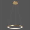 Pendant Light Leuchten Direkt CIRCLE LED gold, 1-light source