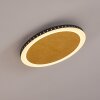 AITRACH Ceiling Light LED gold, 1-light source