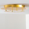 Springdale ceiling light LED gold, 1-light source