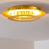 Springdale ceiling light LED gold, 1-light source