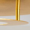 Springdale ceiling light LED gold, 1-light source
