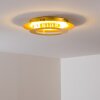 Springdale ceiling light LED gold, 1-light source