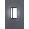 Trio TIMOK Outdoor Wall Light anthracite, 1-light source
