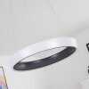 MACKAY Ceiling Light LED anthracite, white, 1-light source, Remote control
