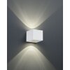 Reality CORDOBA Outdoor Wall Light LED white, 2-light sources