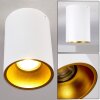 Ceiling Light Grenada gold, white, 1-light source