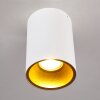 Ceiling Light Grenada gold, white, 1-light source