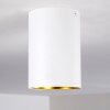 Ceiling Light Grenada gold, white, 1-light source