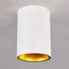 Ceiling Light Grenada gold, white, 1-light source