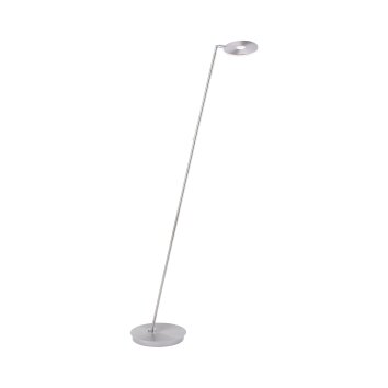 Paul Neuhaus MARTIN Floor Lamp LED stainless steel, 1-light source