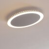 AITRACH Ceiling Light LED silver, 1-light source